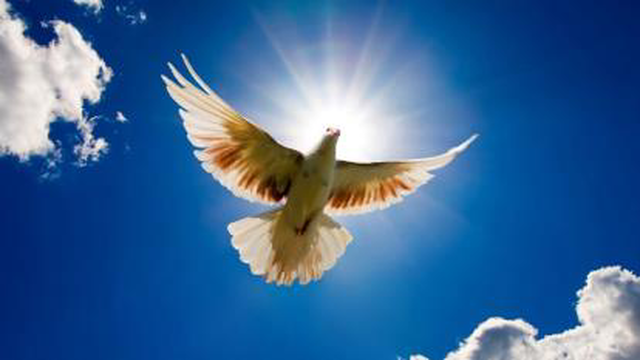 آزاد شو از بند خویش
