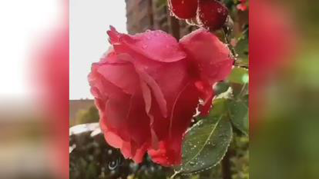 انرژی مثبت