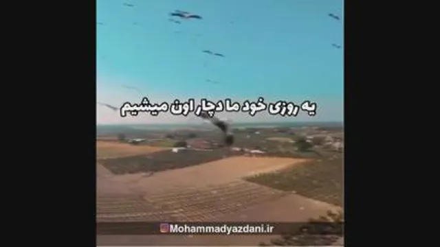 مرغ آمین