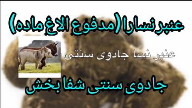 خواص جادویی عنبر نسارا (مدفوع الاغ ماده) در درمان بیماری ها