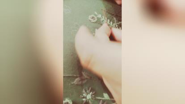 گلدوزی -#گلدوزی برزیلی -#