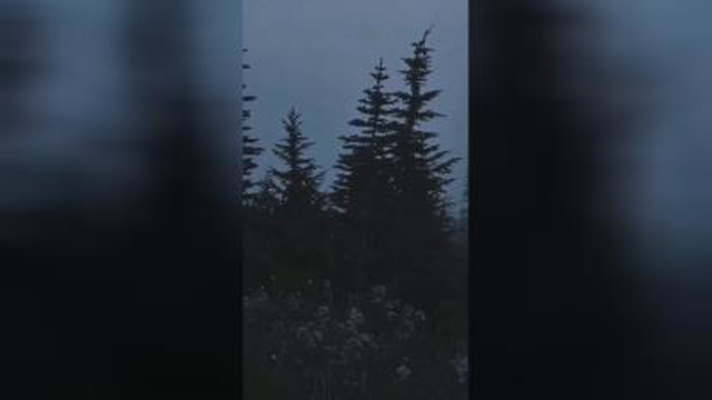 Edit