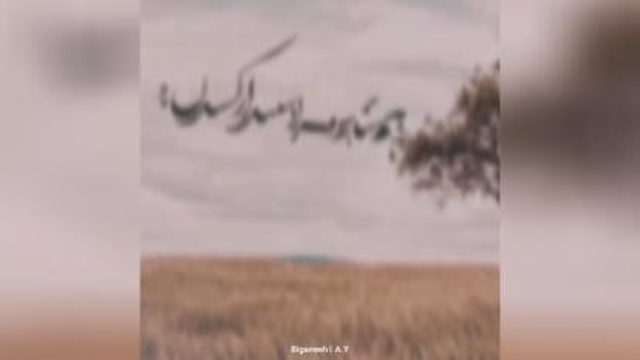 باب دلمی چاوشی