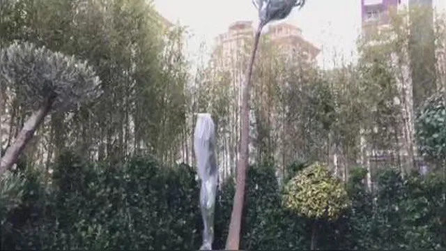 ایجاد فضای سبز