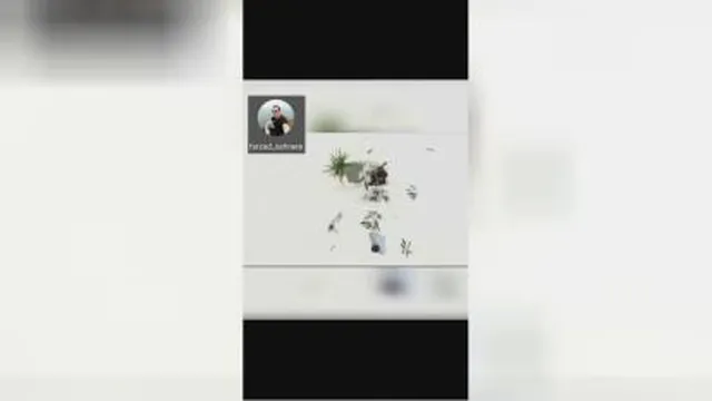 مشاهده احساسات گیاهان