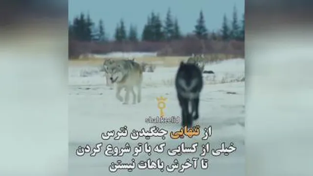 سبک زندگی و روانشناسی
