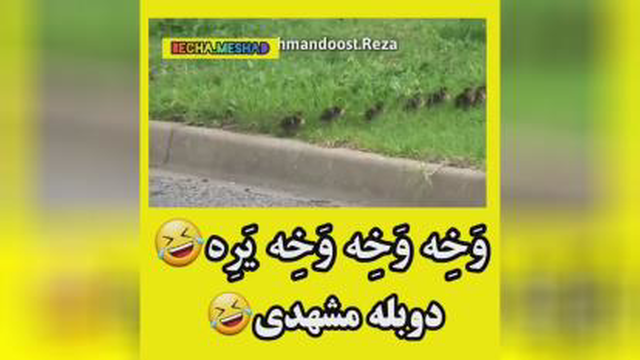 خنده بازار