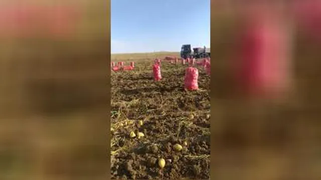 شعبه2_همدان_اول بهار_ جنب ایران خودرو_ بازرگانی امیر سربازی 09036951254