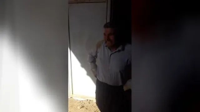 صادرات و واردات میوه جات و صیفی جات با کشور های اروپایی و عربی جهت اطلاعات بیشتر