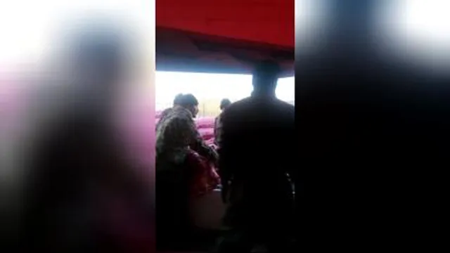 صادرات و واردات میوه جات و صیفی جات با کشور های اروپایی و عربی جهت اطلاعات بیشتر