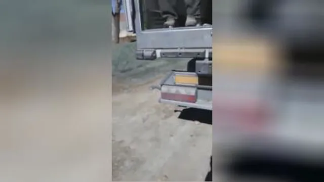 صادرات و واردات میوه جات و صیفی جات با کشور های اروپایی و عربی جهت اطلاعات بیشتر