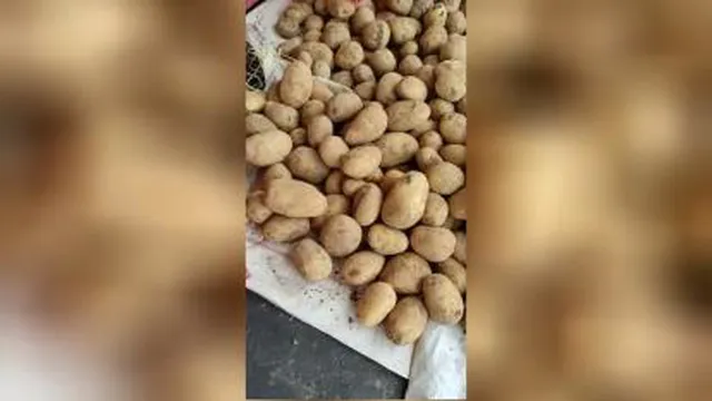 بارگیری‌ سیب‌ زمینی لوکس‌ ازکبودرآهنگ‌ همدان‌ به‌ سرخس‌ تاجیکستان‌ توسط‌ بازرگان