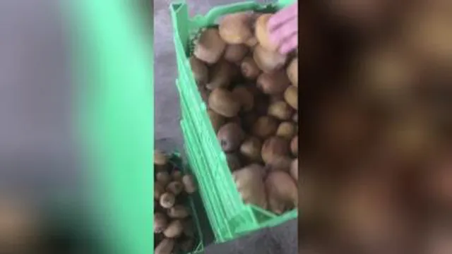 صادرات و واردات میوه جات و صیفی جات با کشور های اروپایی و عربی جهت اطلاعات بیشتر
