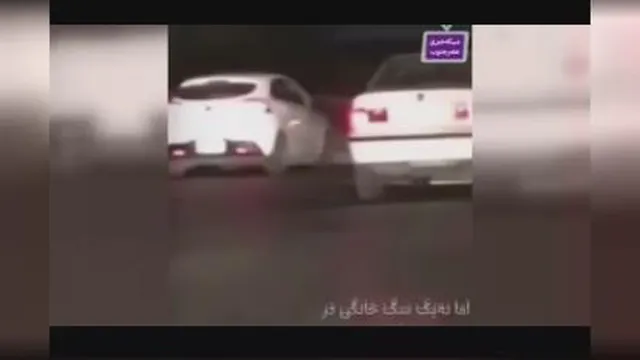 (ویدئو) حضور دردسر ساز یک سگ خانگی در خودرو دولتی