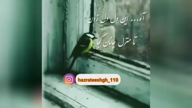 من کجا باران کجا