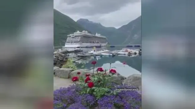 کلیپ شاد وپرانرژی