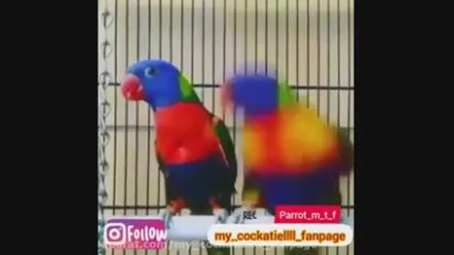 این ته صداگذاریه😂