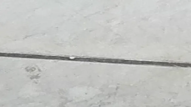 شرکت خدماتی نظافتی آفرین پویای ترنج