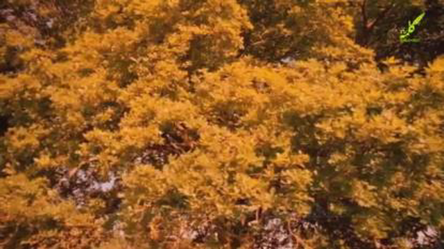 سرود فارسی قرآن