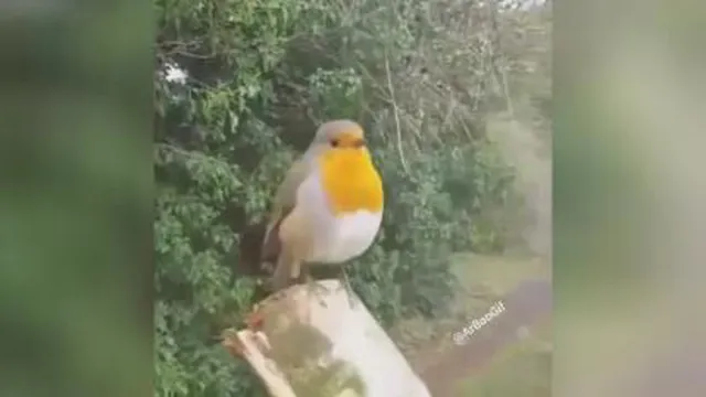 از عمق جانت نفس بکش جون دل  😁😉