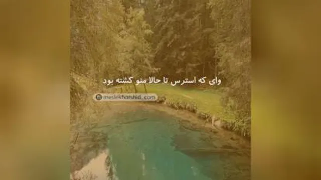 سرگرمی،جویس مایر،9 اصل ساده زندگی کردن.