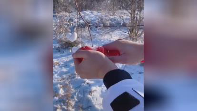 Snow love