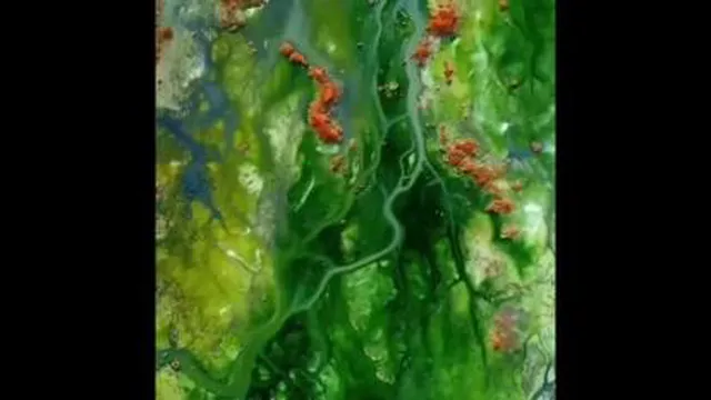 زندگی زیبا هنوزم هست