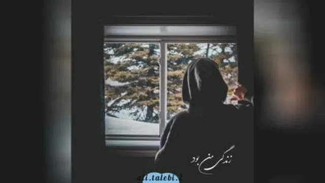 آهنگ زیبا یکیو دوست داشتم رضا صادقی