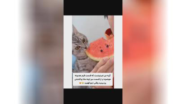 وقتی وقتی قسمت قرمز رو خورد
