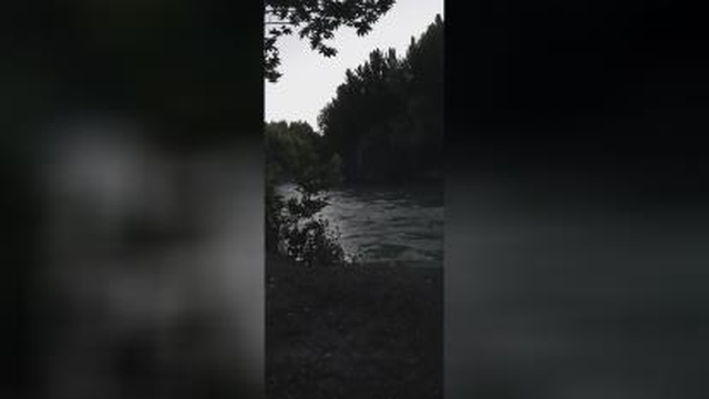 باغ بهادران