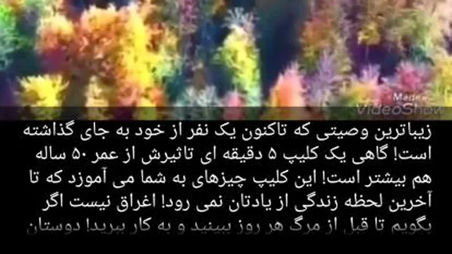 زیباترین وصیتی که تاکنون یک نفر از خود بر جای گذاشته