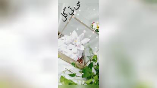 بله برون در اردکان