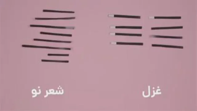 زندگینامه هوشنگ ابتهاج