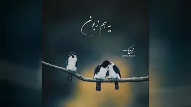 #آهنگی با احساس