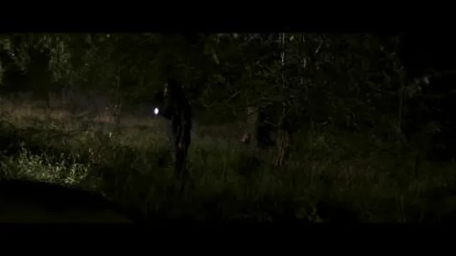 تریلر فیلم In the earth در زمین