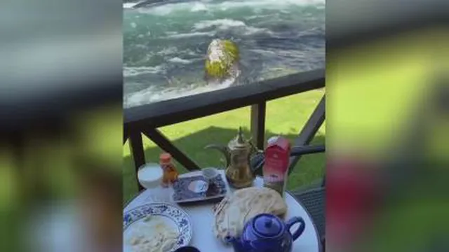 لحظه ای آرامش