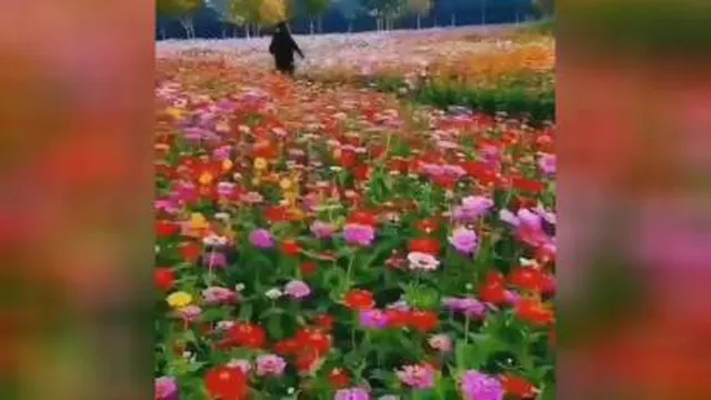 نماهنگ زیبا و آرامش بخش