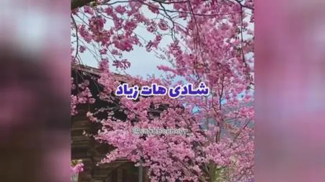 آهنگ شاد
