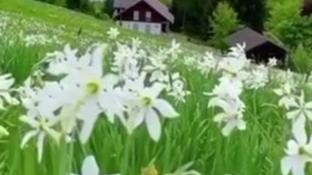 دنیای طبیعت