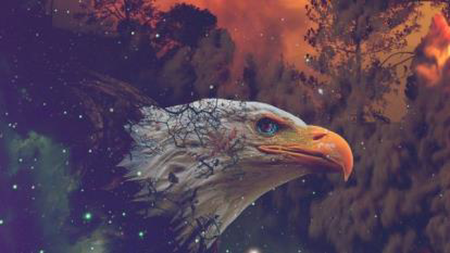 #موسیقی