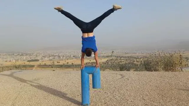 ابوالفضل فرخی