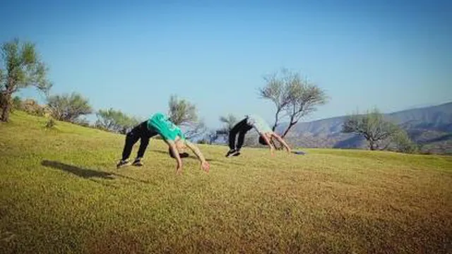 قهرمانان ژیمناستیک