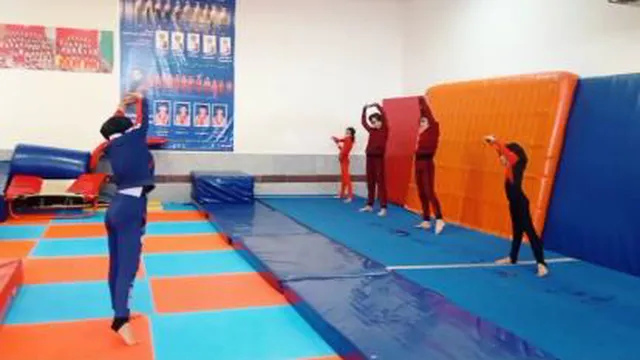قهرمانان ژیمناستیک لردگان
