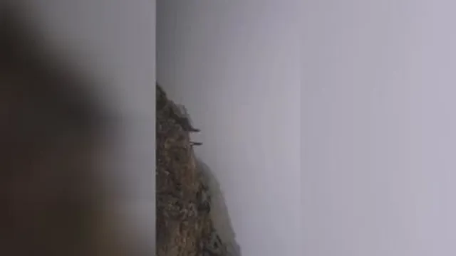 کلیپ عروس و دا ماد