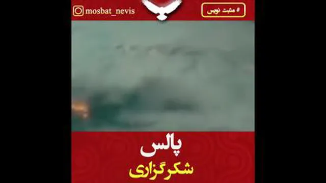 شکر گذاری؛استادعرشیانفر