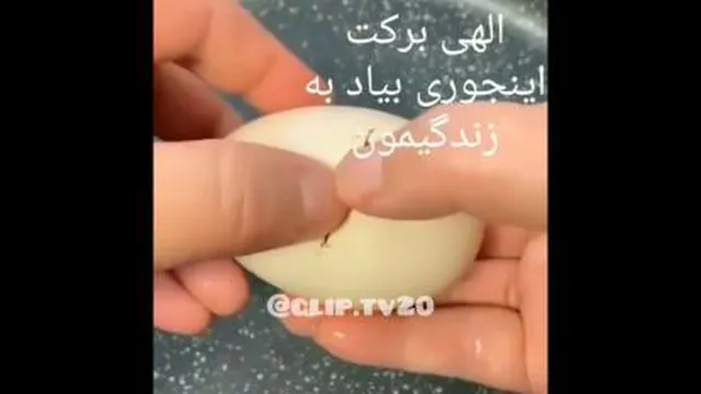 تخم مرغ بیست زرده