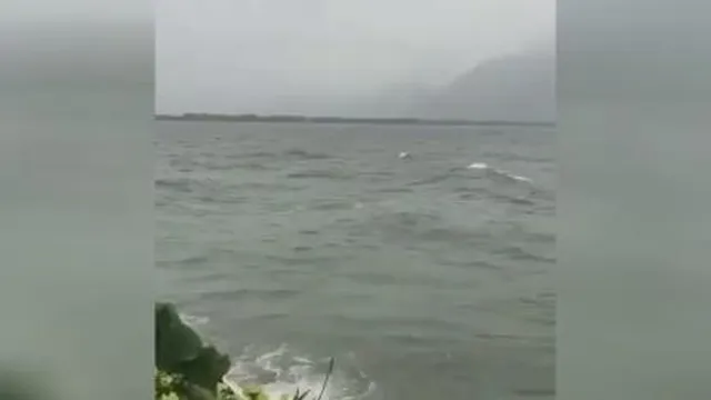 طبیعت