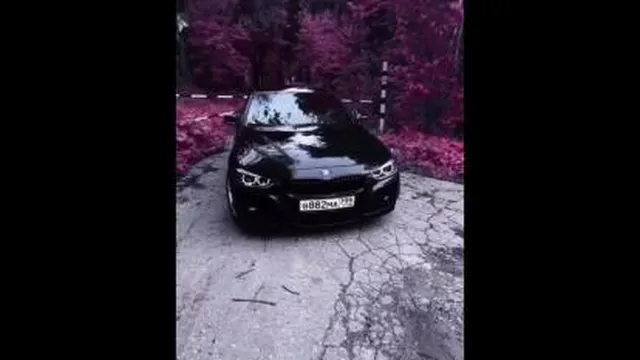 طبیعت شگفت انگیز