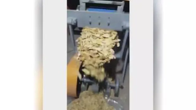 خط تولید تنباکو