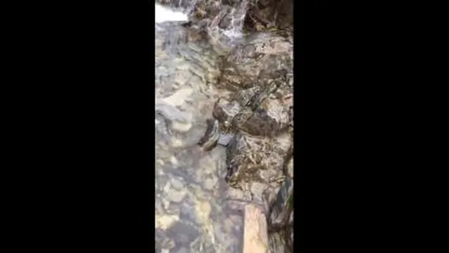 آب روان